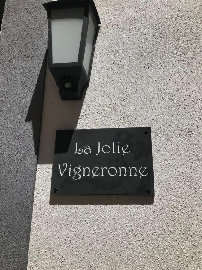 Villa La Jolie Vigneronne Marseillan  Exterior foto